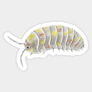 Armadillidium Vulgare "Magic Potion Orange Spot" Sticker